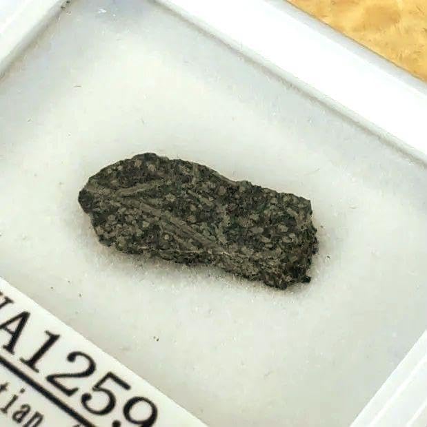 火星の石！シャーッゴッタイト NWA 12594 隕石標本 大 火星の石